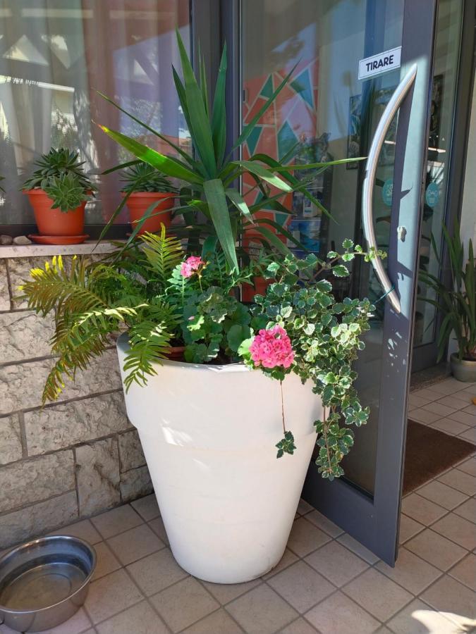 Hotel Goldene Rose Rimini Luaran gambar