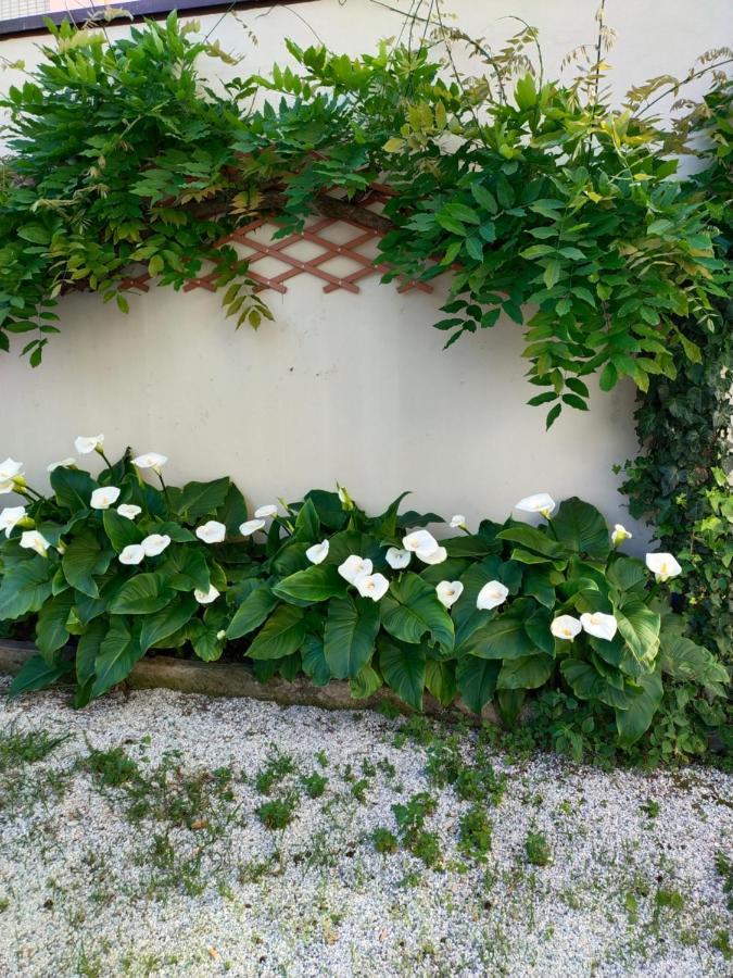 Hotel Goldene Rose Rimini Luaran gambar