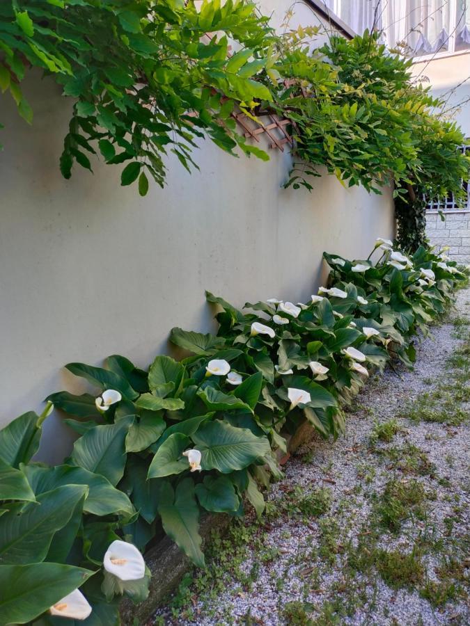 Hotel Goldene Rose Rimini Luaran gambar